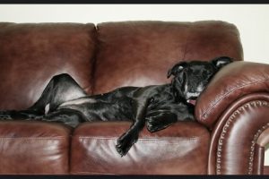 CouchSurfing 101: 10 Tips for First-Time Surfers