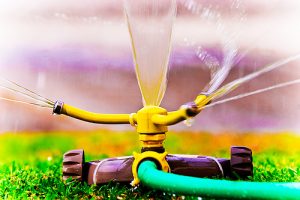Watering my Lawn had MULTIPLIED my Total Water Usage!