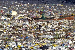Consumers Need 12-Step Programs Too: My Counseling Session with Mother Earth