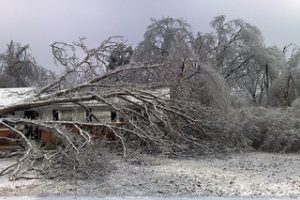 How Much does your Home Insurance Premium Cost?