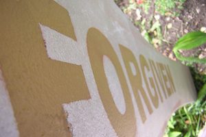 Student Loan Deferment, Forbearance, & Forgiveness Options