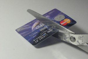Reader Case Study: “Help! Where’s all my Money Going?!”