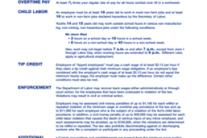 National Minimum Wage: Should it be Raised & Indexed?
