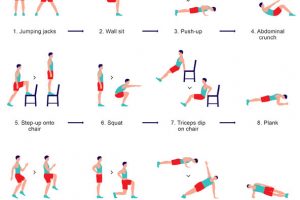 The 7 Minute Workout