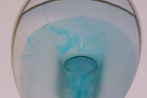 How to Detect & Fix a Leaky Toilet