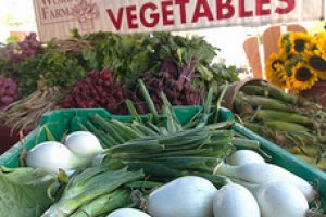 Is Organic Food a “Luxury”?