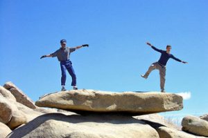 Rebalancing Investments: Why, When, & How to Avoid High Fees