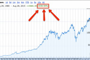 Lessons from a Manic Stock Market & Flash Correction
