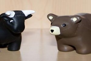 Bull, Bear, & Hog Market Terminology
