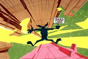 Obamacare to Trumpcare: what Should & what Will Happen