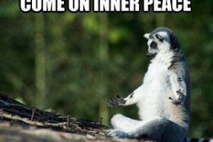 Money & Happiness: The Psychology of Intrinsic Vs Extrinsic Goals