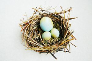 Roth 401K Basics (Updated for 2026)